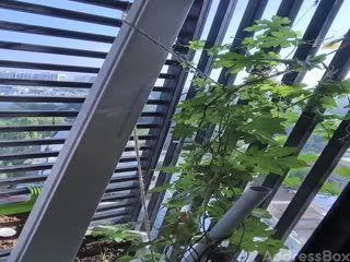 Property in Paldi | Ahmedabad