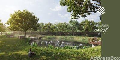 Kings Ebony Amenities