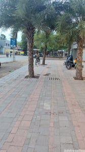 Property in Shela | Ahmedabad