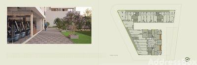 Ivory Springs Floor Plan