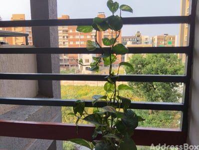 Property in Vavol | Gandhinagar