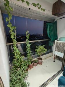 Property in Sanand | Ahmedabad