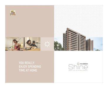 VAIDEHI SHINE Others