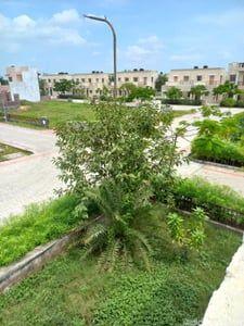 Property in Bavla | Ahmedabad