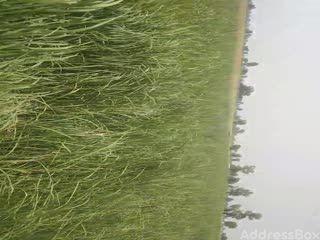 Land for Sale in Sanand Nalsarovar Road, Ahmedabad | Agriculture Land