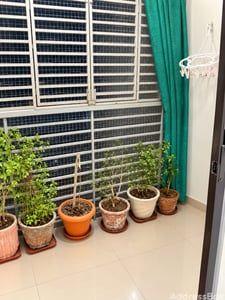 Property in Gota | Ahmedabad