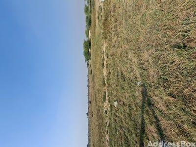 Property in Sanand Nalsarovar Road | Ahmedabad