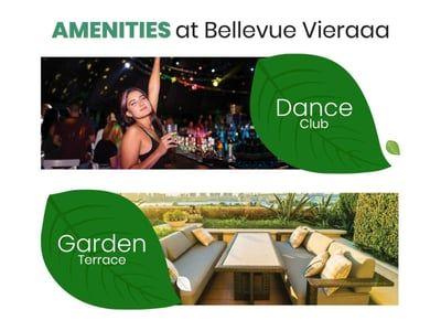 Bellevue Vieraaa - Plot Others