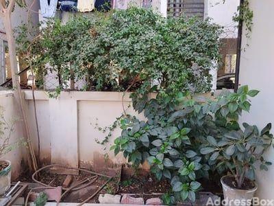 Bungalows / Villas for Sale in Vadsar, Ahmedabad | Anirdesh bungalows