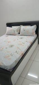 Property in Shela | Ahmedabad
