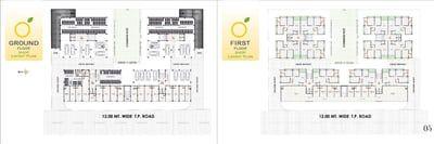 Lemon Tree - Commercial Floor Plan