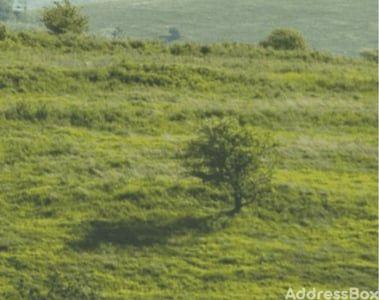 Land for Sale in Narol, Ahmedabad | Science City Rd