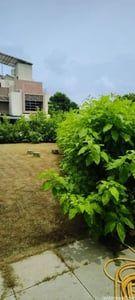 Property in Shela | Ahmedabad