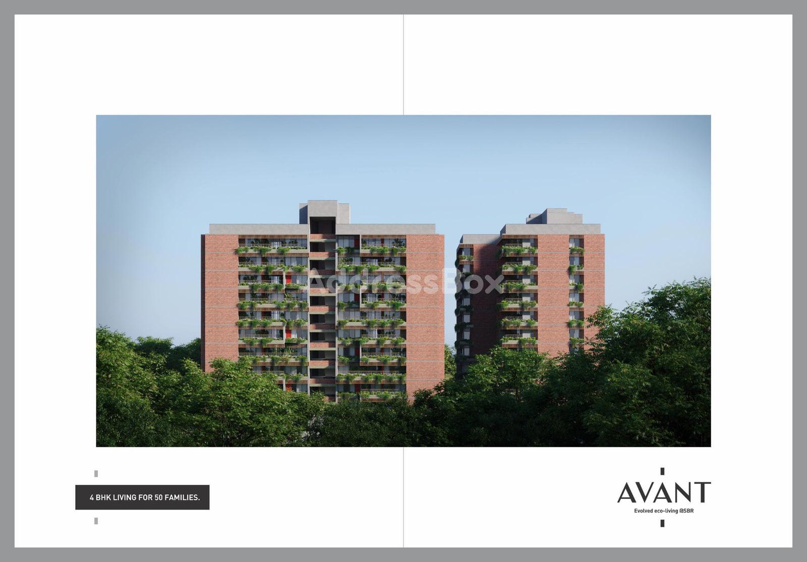AVANT AVANT photo