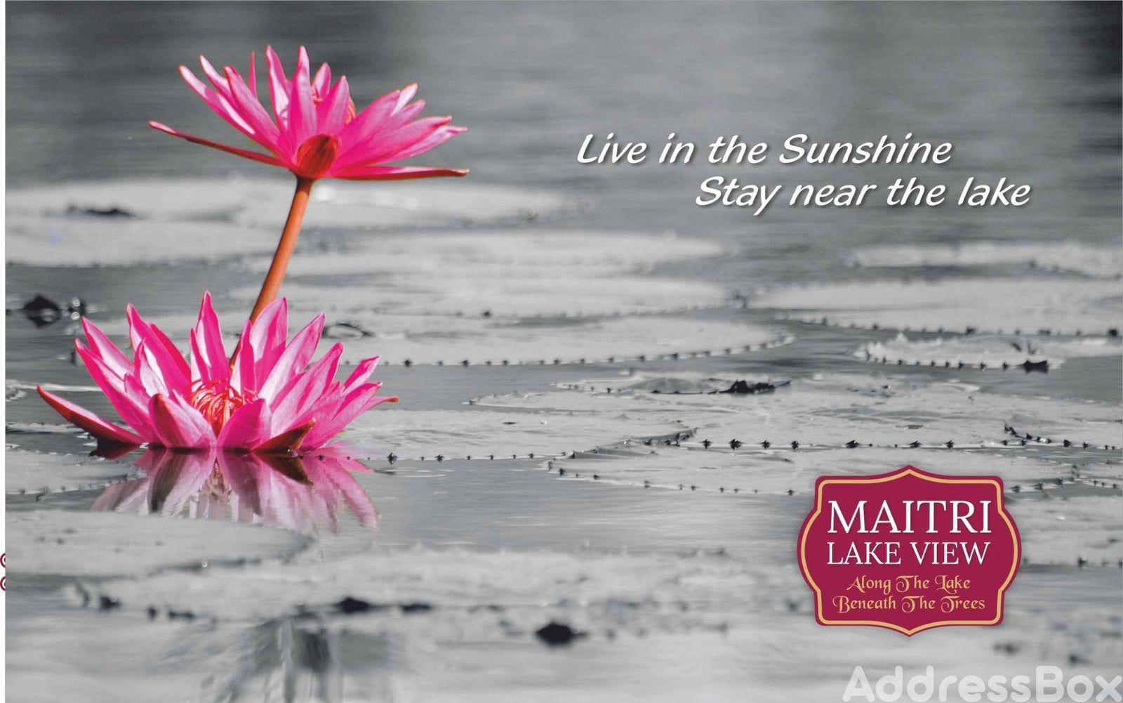 MAITRI LAKE VIEW MAITRI LAKE VIEW photo