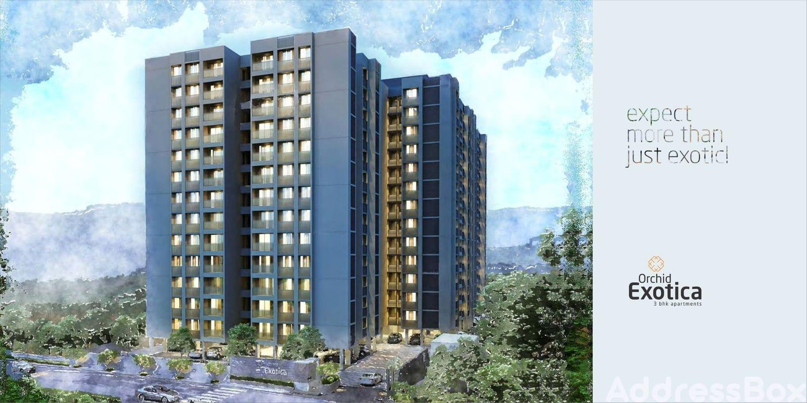 ORCHID EXOTICA image ORCHID EXOTICA Exterior