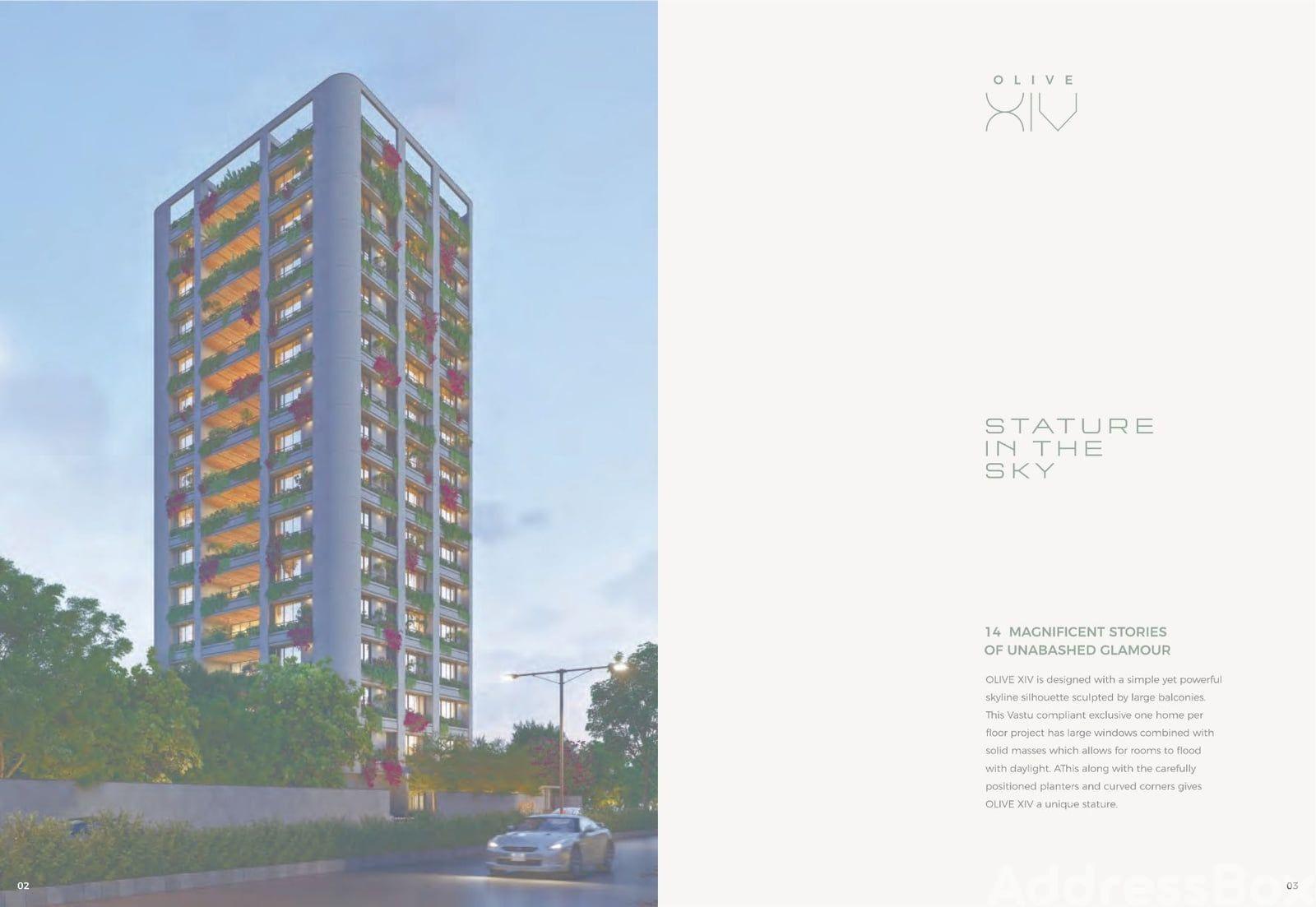 OLIVE XIV image OLIVE XIV Exterior
