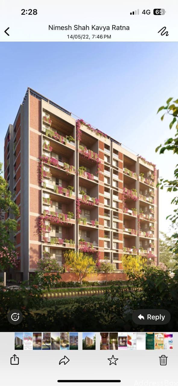 The Bougainvillea The Bougainvillea photo