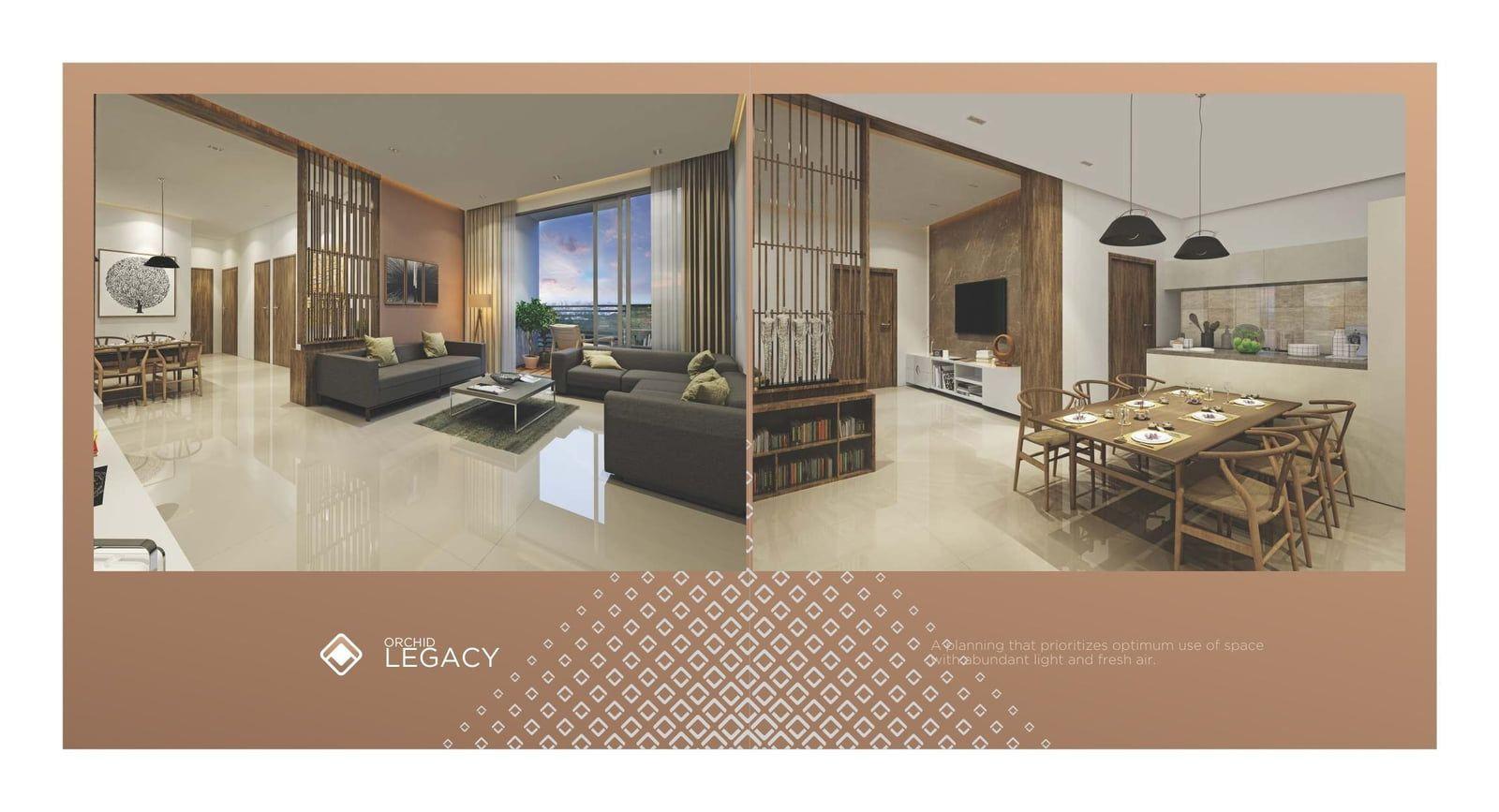 ORCHID LEGACY ORCHID LEGACY photo