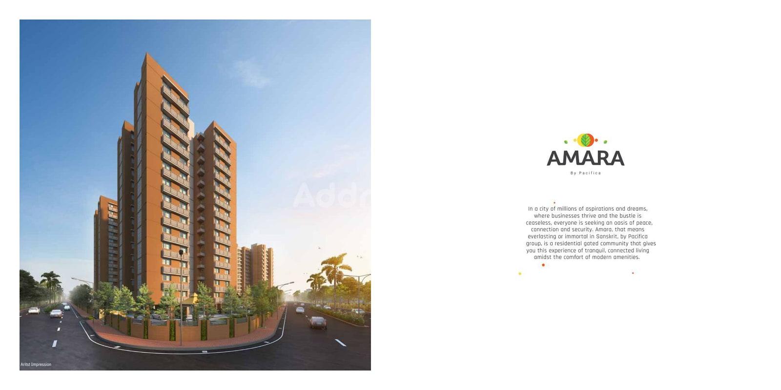 Amara Amara photo