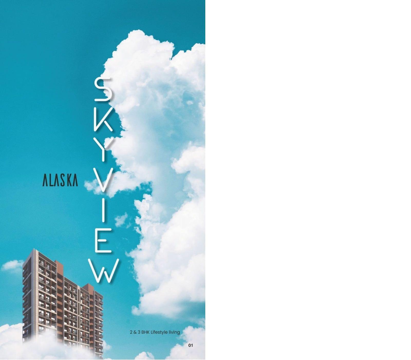ALASKA SKYVIEW ALASKA SKYVIEW photo