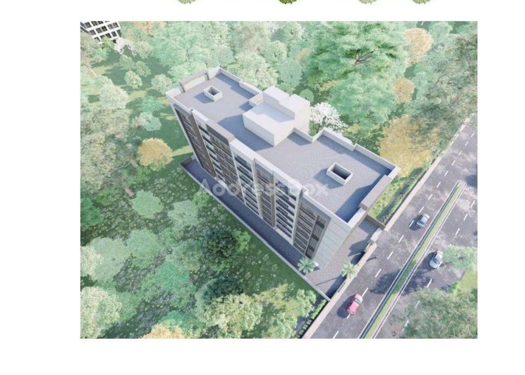 Mango Oasis Mango Oasis photo