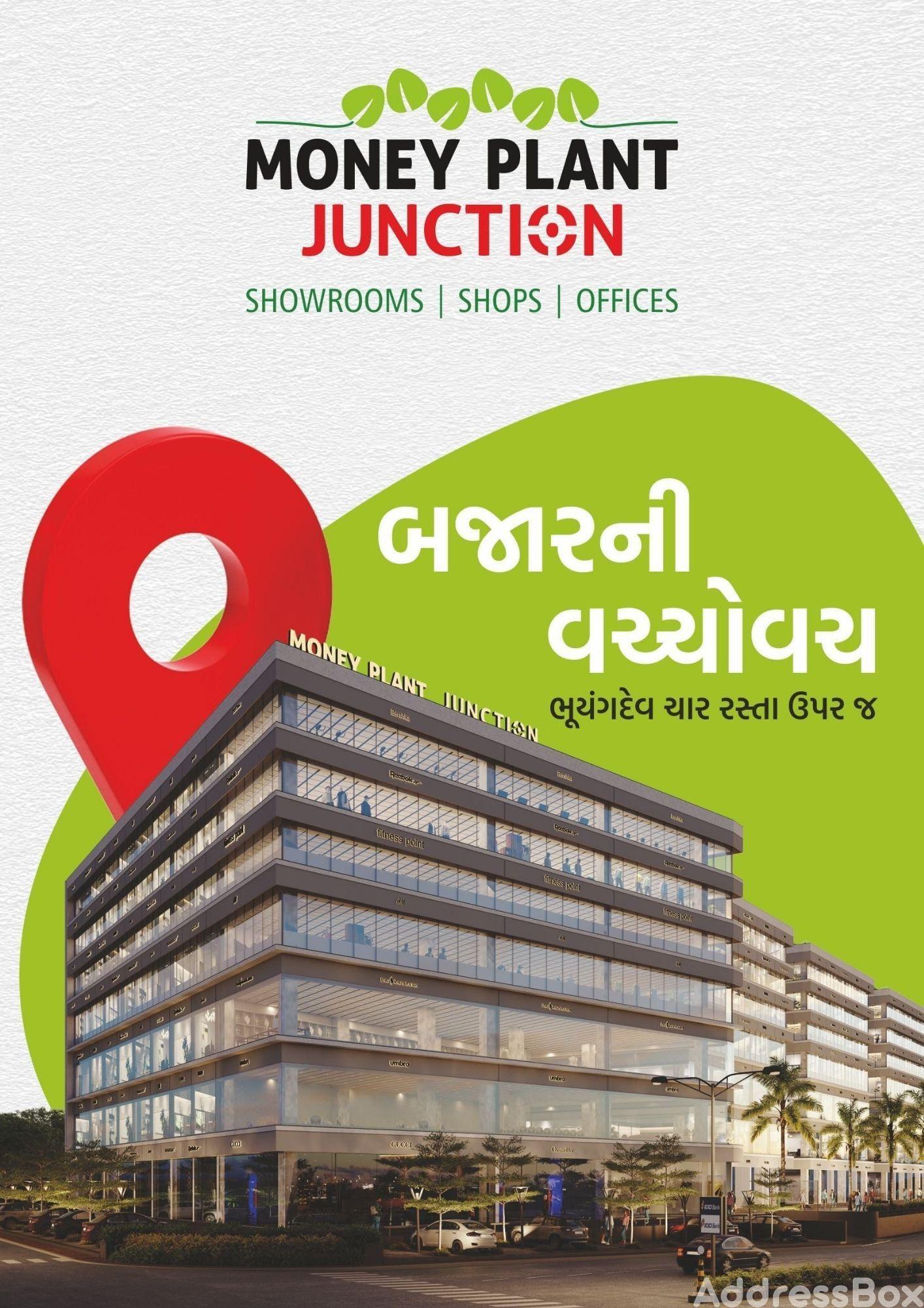 MONEY PLANT JUNCTION MONEY PLANT JUNCTION photo