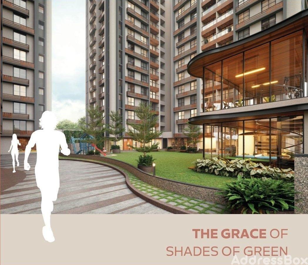 IMPERIA GRACE IMPERIA GRACE photo