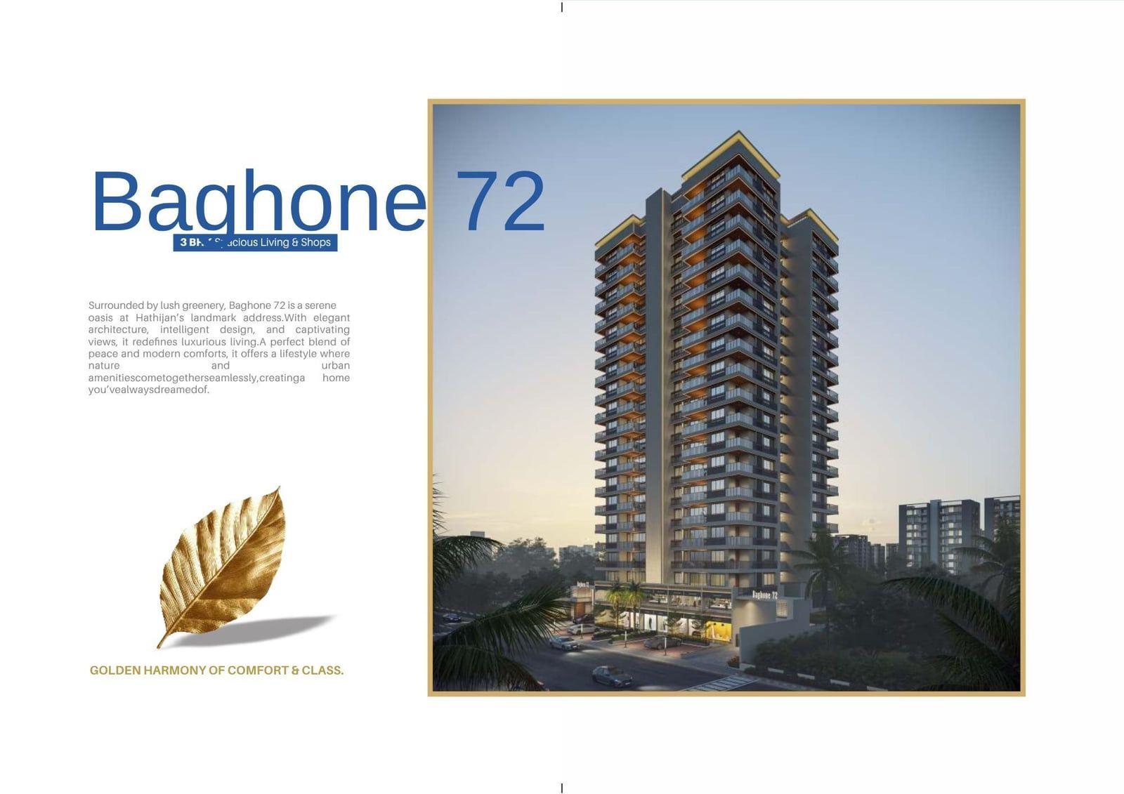 BAGHONE 72 image BAGHONE 72 Main Photo