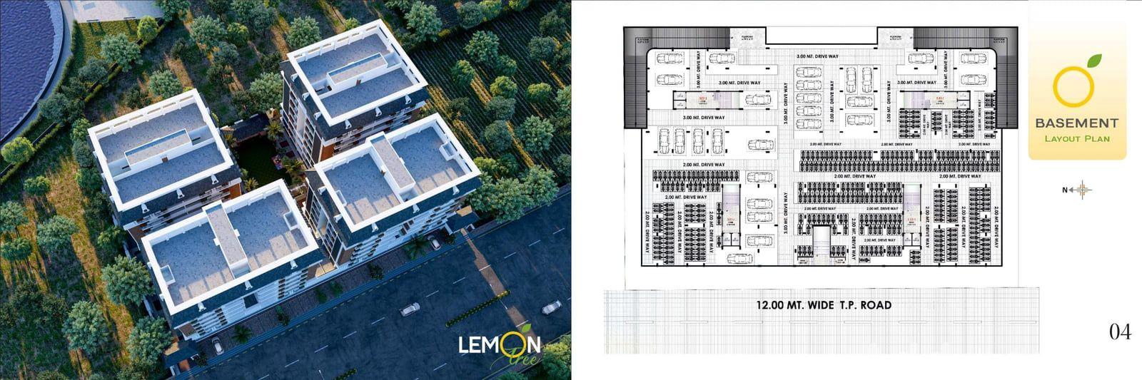 Lemon Tree - Commercial Lemon Tree - Commercial photo