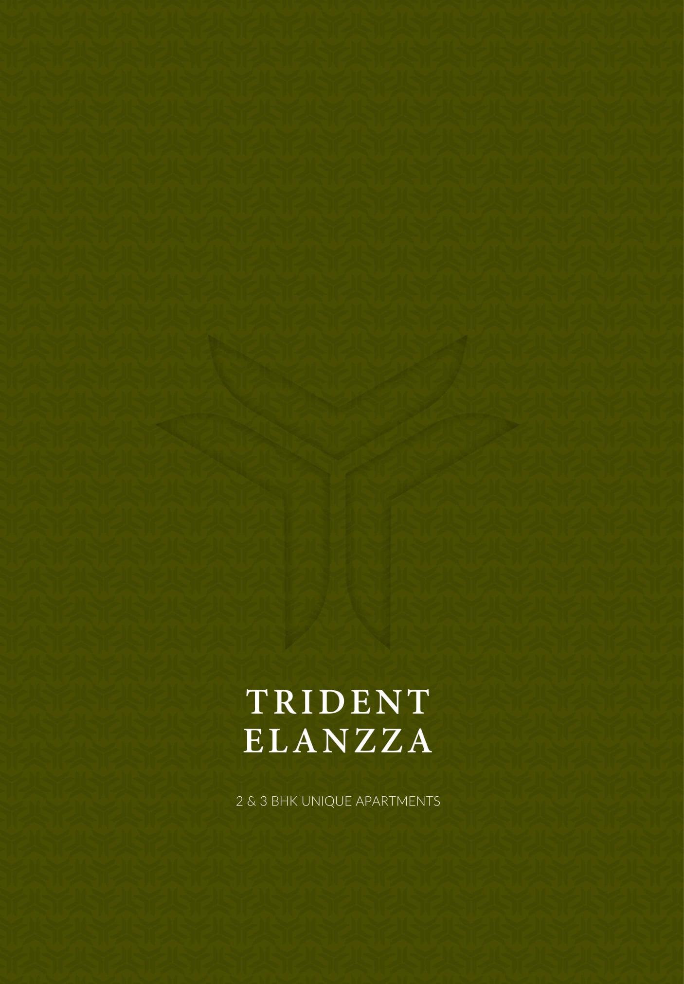 Trident Elanzza Trident Elanzza photo