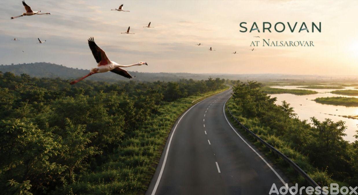 Sarovan Sarovan photo
