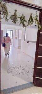 Commercial Properties for Rent in Ahmedabad | Ashwamegh Elegance 2