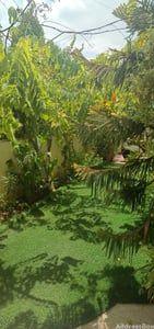 Bungalows / Villas for Rent in Vejalpur, Ahmedabad | Bakeri City