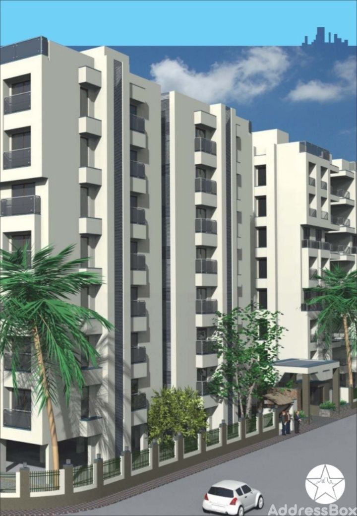 STAR HEIGHTS