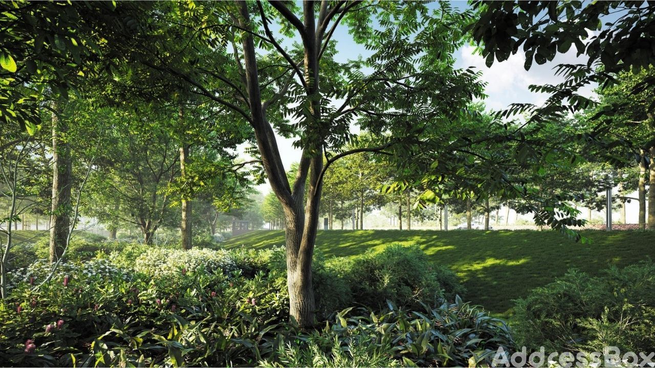 The Park By Repose photo