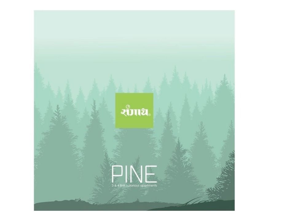 SANGATH PINE photo