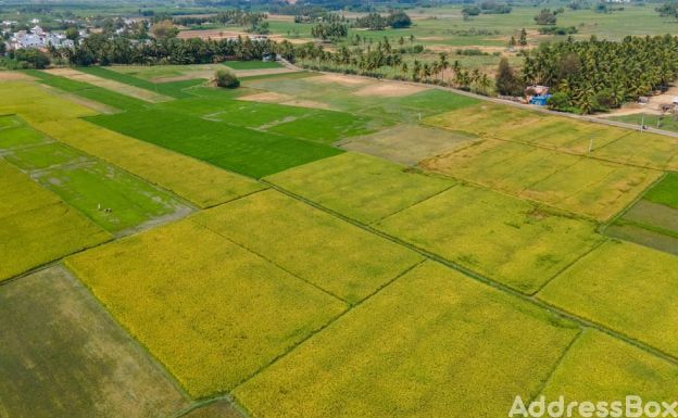 Saffron Valley The Farmland photo