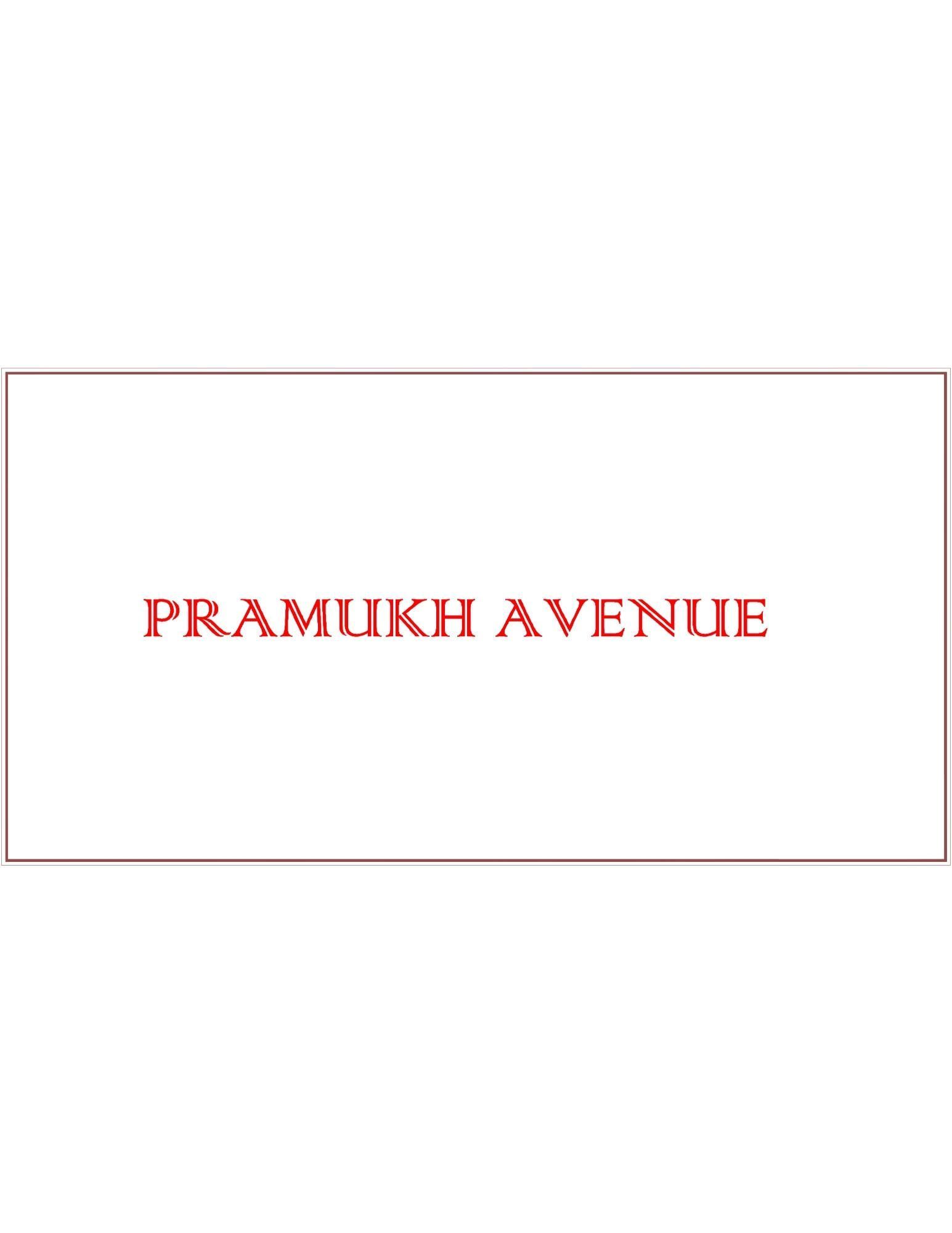 Pramukh Avenue photo