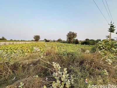 Kaneti Rd photo