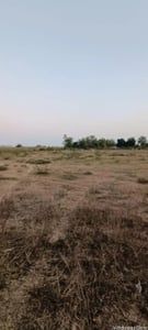 Rancharda Farm photo