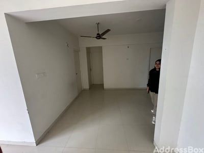 Renown Shafalya photo
