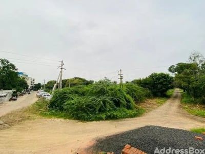 Green City photo