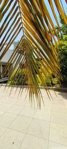 Property in SG Highway | Ahmedabad