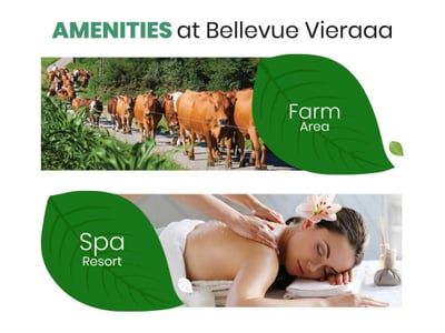 Bellevue Vieraaa - Plot Others