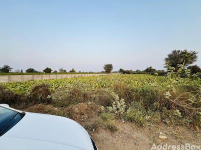 Sanand Rd photo