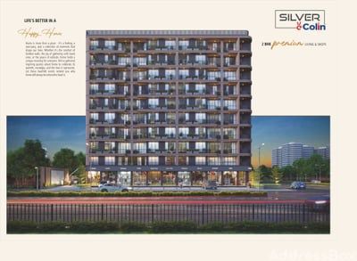 Silver Colin Exterior