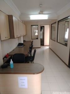 SAMAN COMPLEX photo