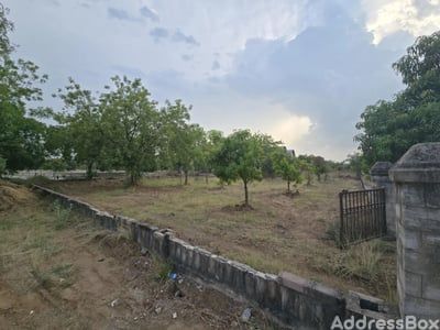 Gulmohar Greens Golf and Country Club Limited photo