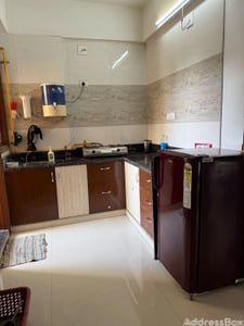 VIVAN 79 photo
